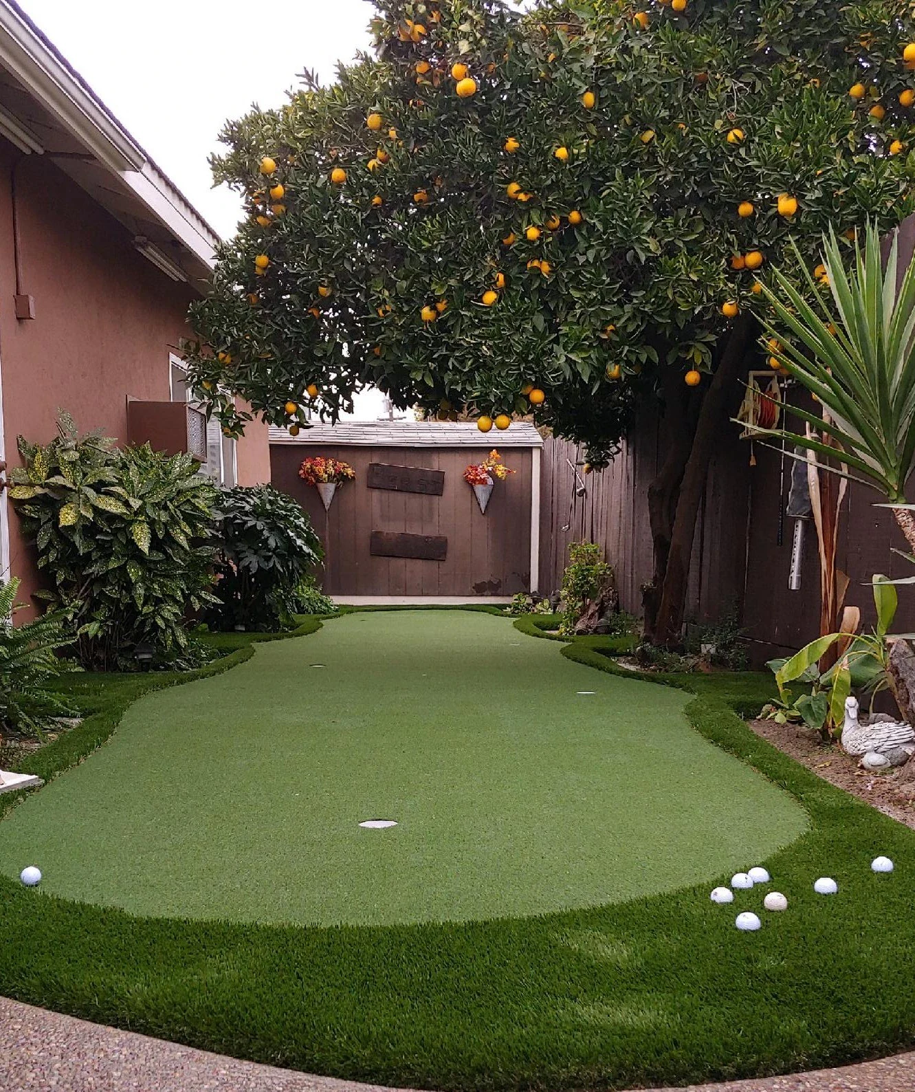 How To Design a Backyard Putting Green That Holds Up in Florida’s Heat and Rain How To Design a Backyard Putting Green That Holds Up in Florida’s Heat and Rain