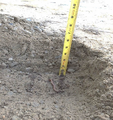 image10earthworms-puttinggreens