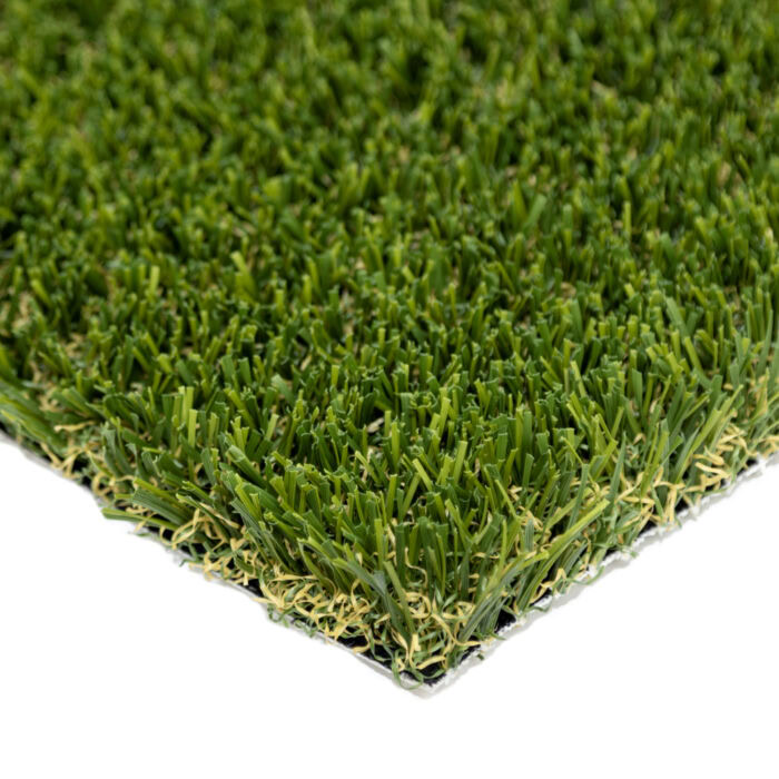 Pet Turf Fescue