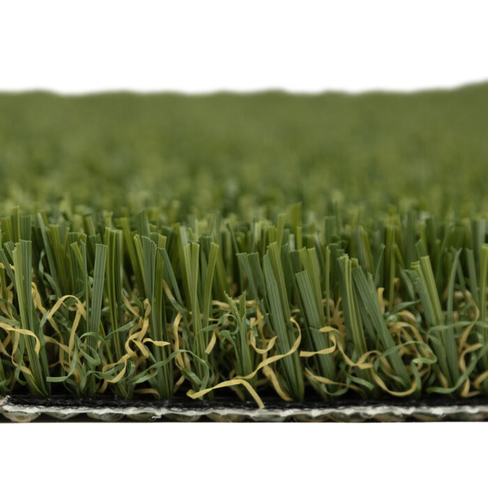 Pet Turf Fescue - Image 2