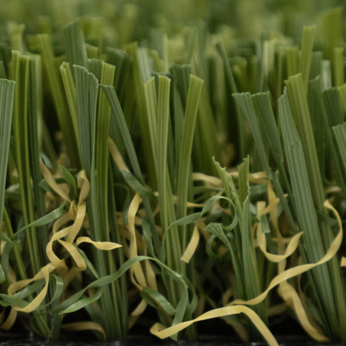 Pet Turf Fescue - Image 3