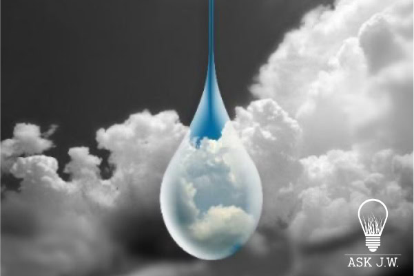 zASK-JW-watermarks-59